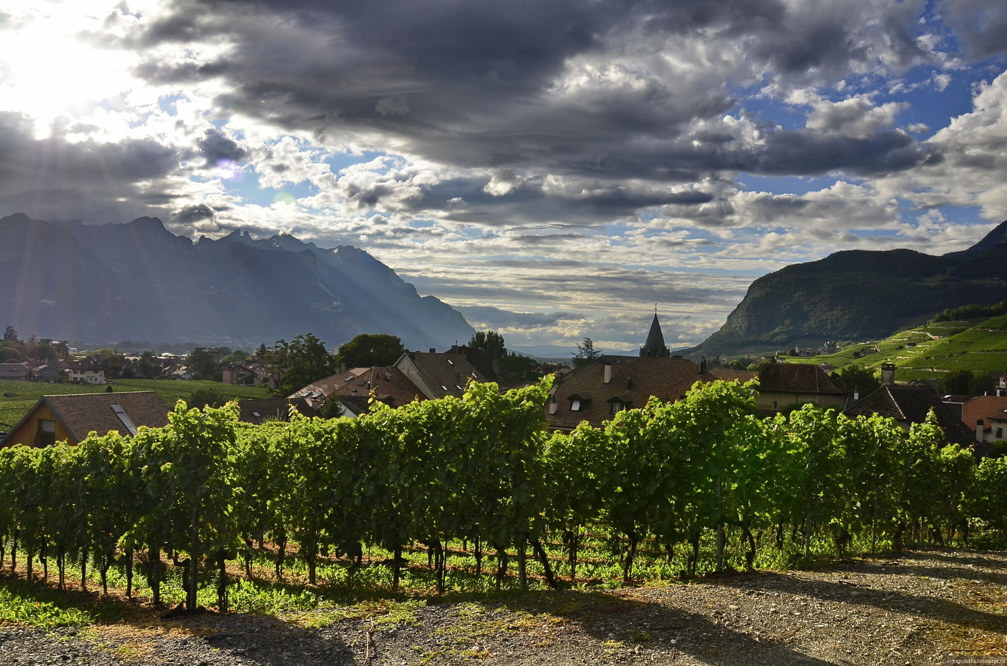 Aigle